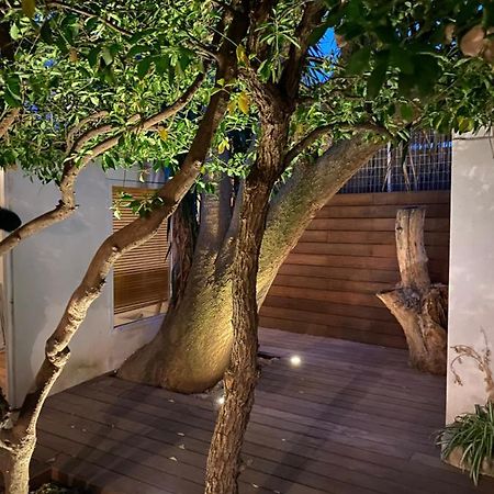サナリー・シュル・メールLe Jardin Cacheアパートメント エクステリア 写真